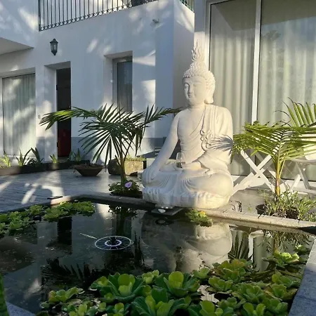 Harmony Deluxe *